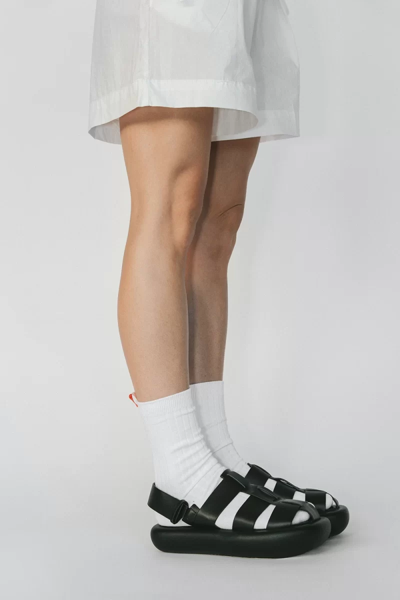 everyday cotton socks rice